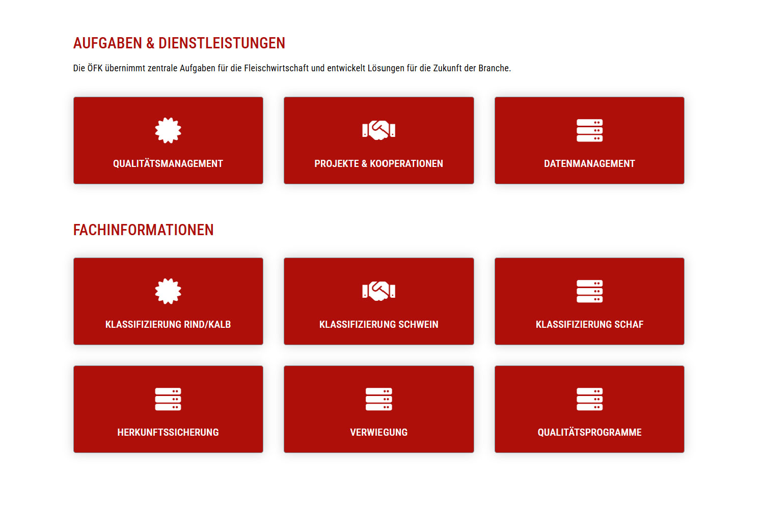 dummy-website