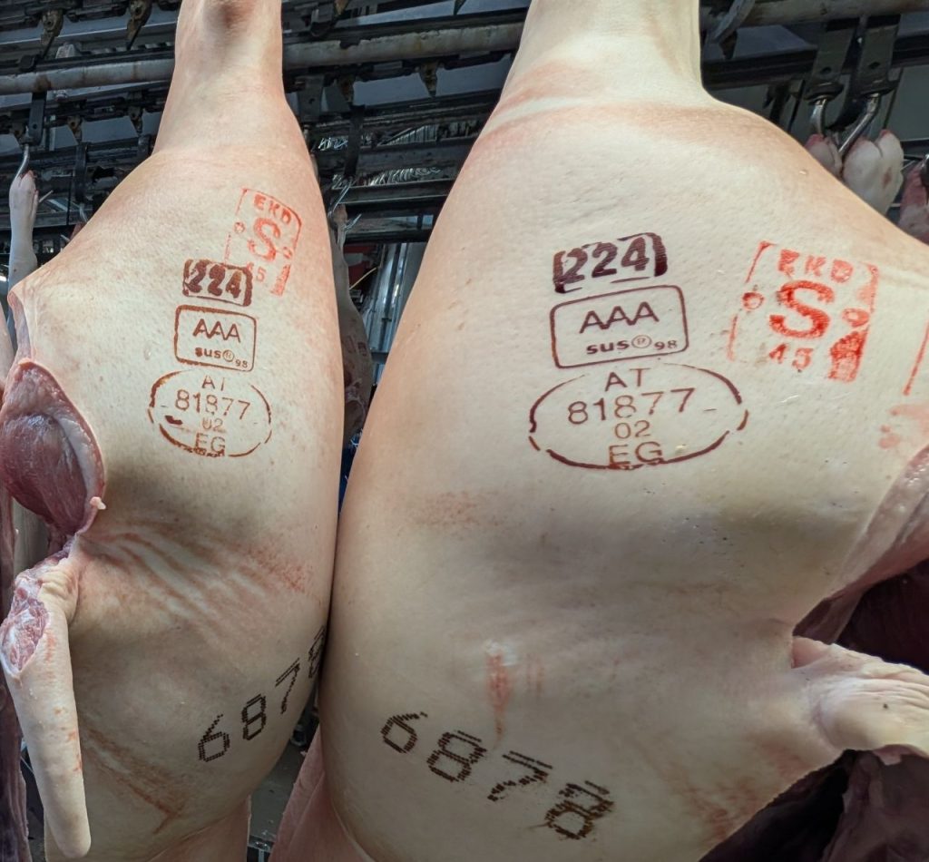 Schweinehälften mit Stempel